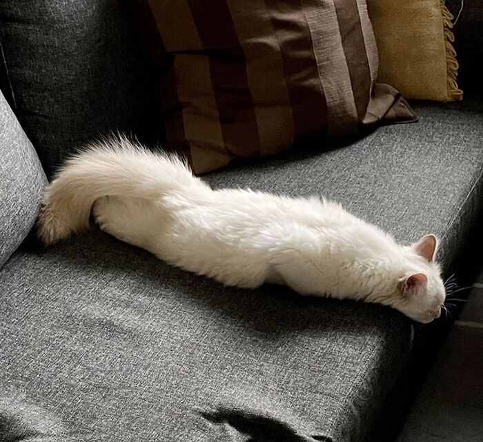 I Guess This Sleeping Position Works