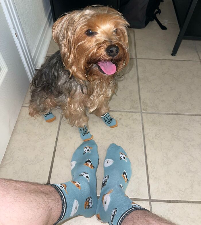 My Dog And I Got Matching Socks For Christmas