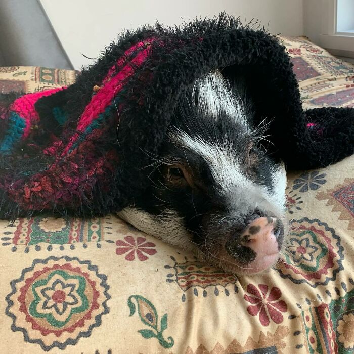 Getting Ready For Bed. Have A Great Evening Everyone