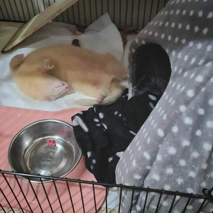 Ghost Is A Whole Mood