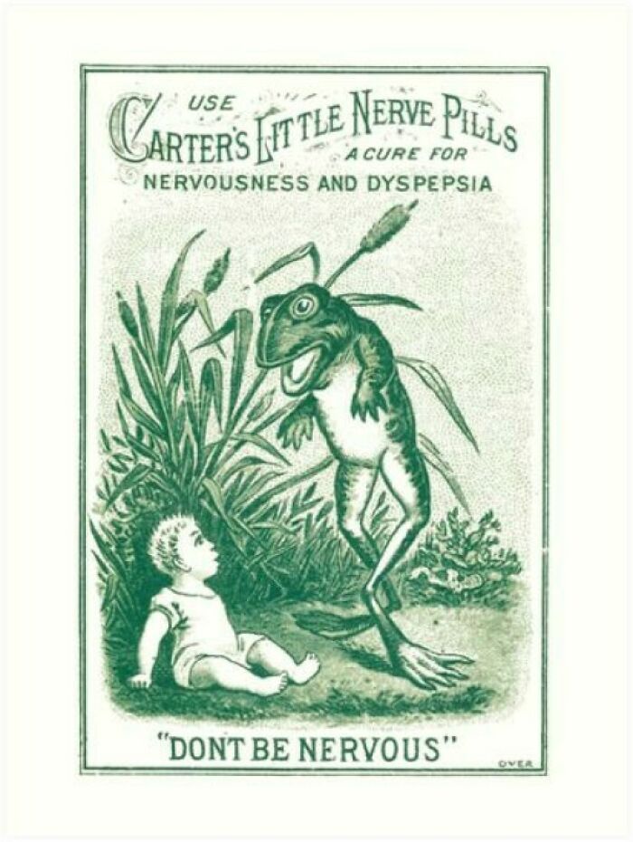 Ay, What The Frog Doin? Haha, Funny Vine Joke. I'm Sorry For That