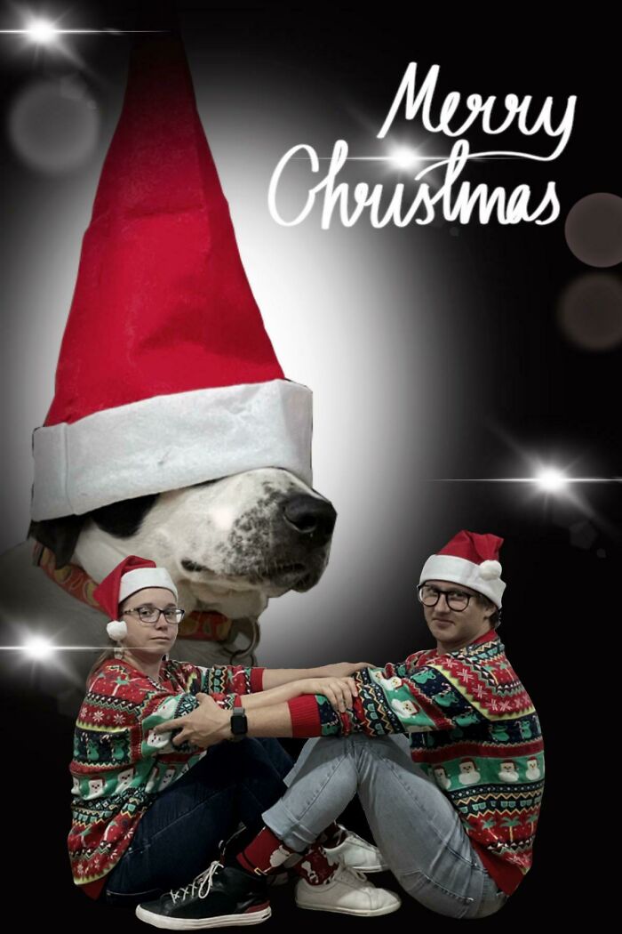 Our Family Christmas Card 2022