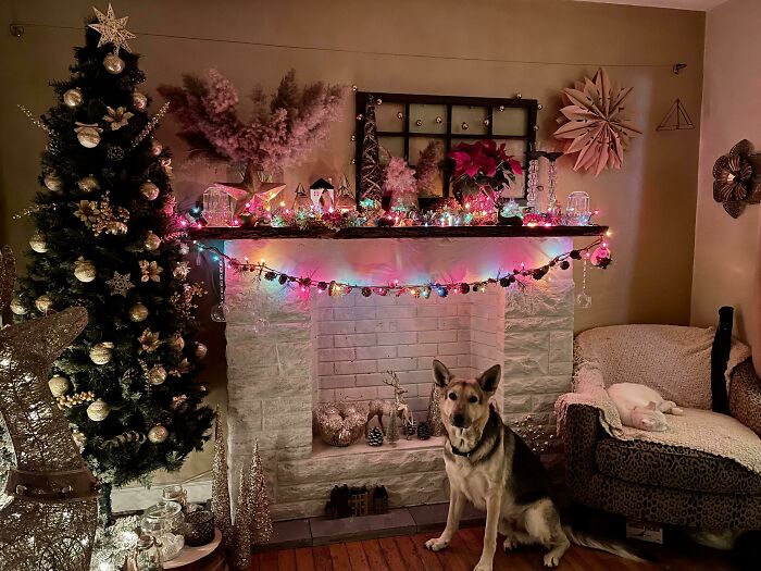 First Time Using Colored Lights