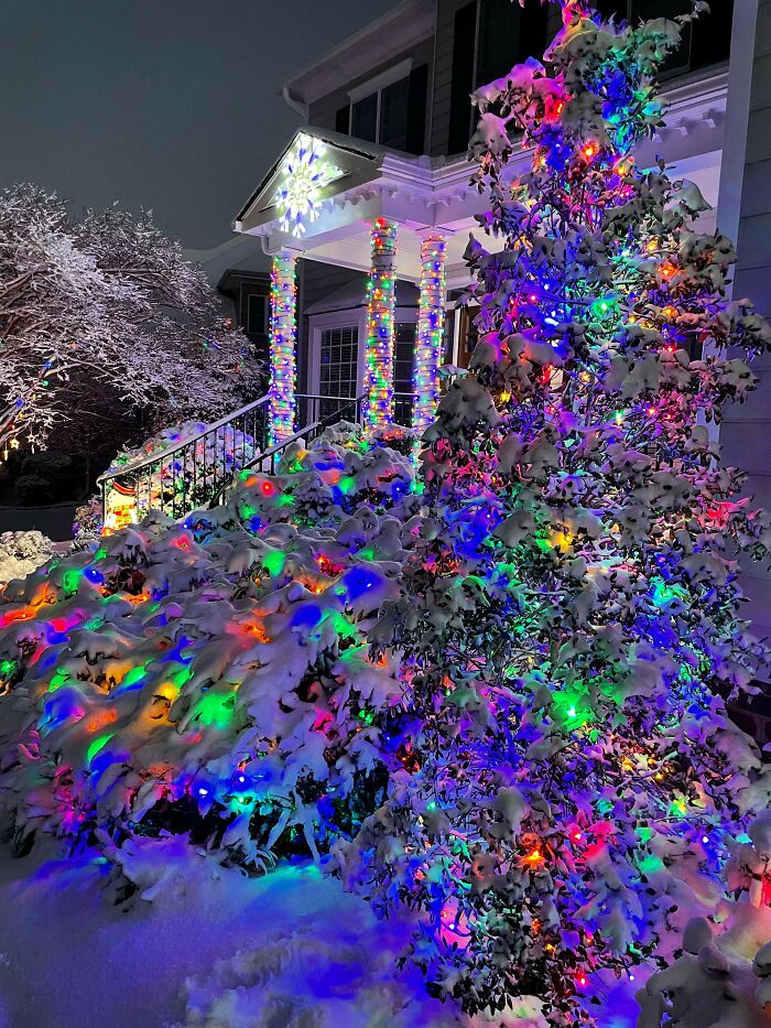 My Lights In The Snow