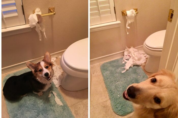 Two Generations, Same Bathroom Naughtiness