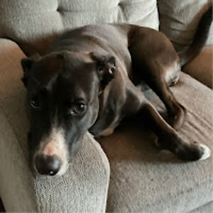 katiehernandez avatar