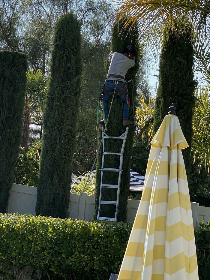 What’s Wrong With This Photo?