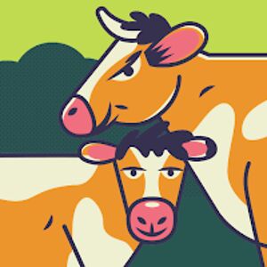 celiagallardo avatar