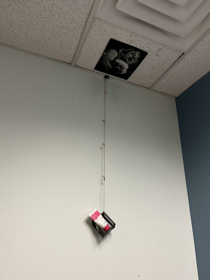 My Work Buddy Tim Definitely Wins The Christmas Decoration Contest