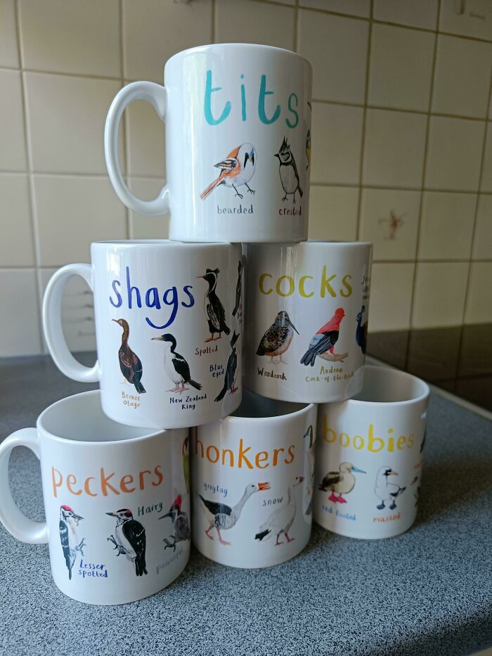 Any Other Bird-Lovers Around?