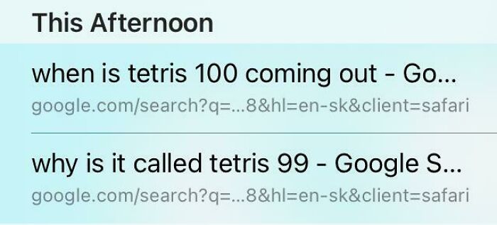 My Little Brother’s Search History