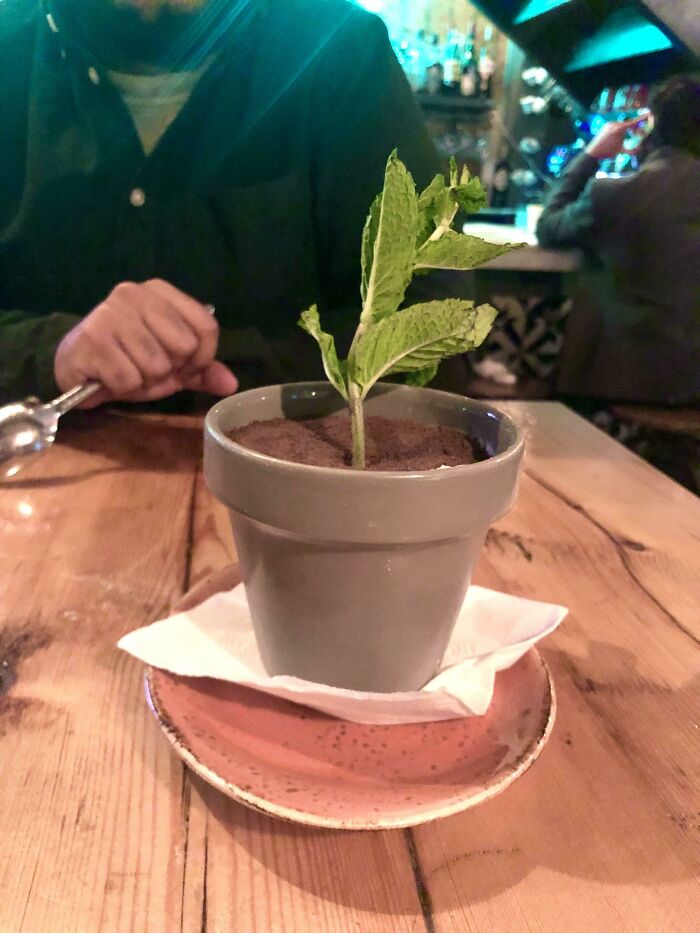 What If I Told You That There Was Tiramisu In There