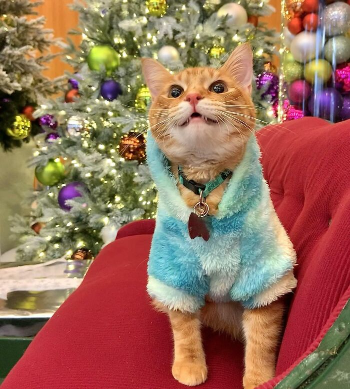 It’s Gonna Be His First Christmas