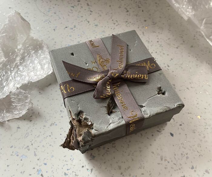 I Wasn’t Home When A Gift I Ordered Was Delivered, Luckily My Dog Laney Took The Parcel In For Me