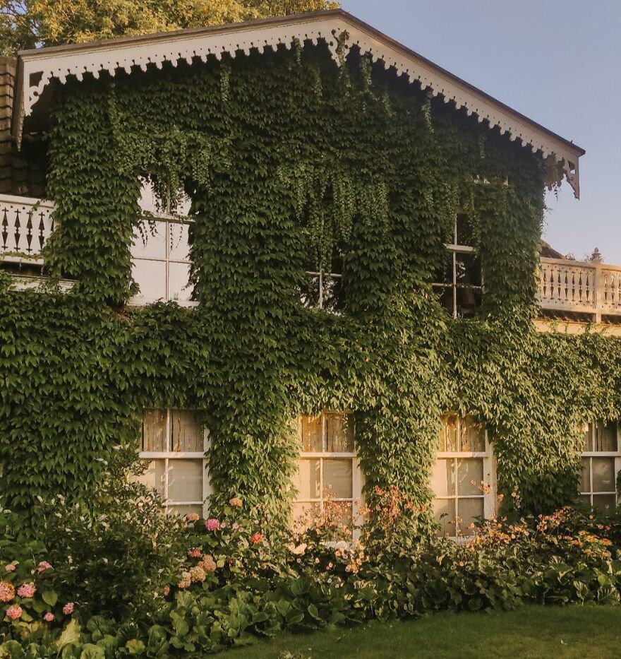 This Beautiful Building In My City