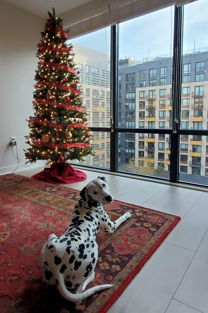 Born On December 27th. It's His First Christmas