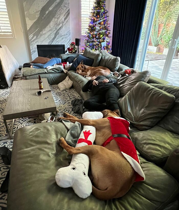 Wiped Out From Opening Presents