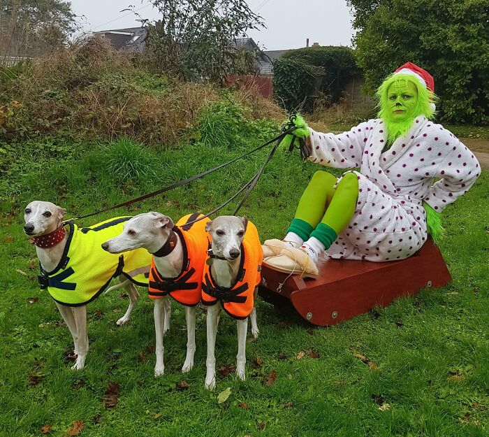 It’s Because I’m Green Isn’t It?