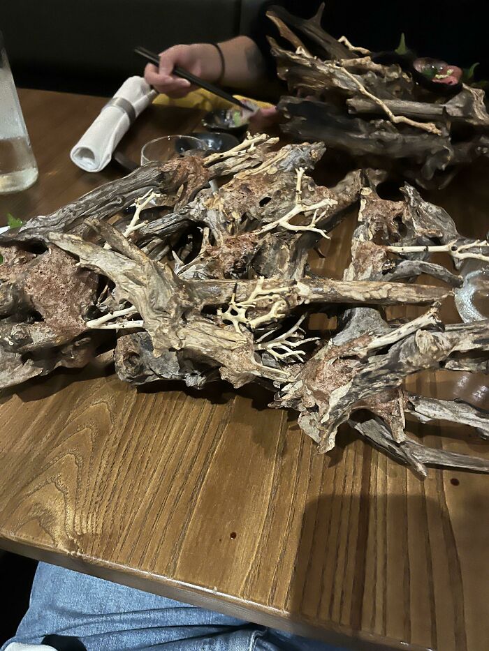 You Ever Had Your Sushi Hidden Inside A Tree Branch?