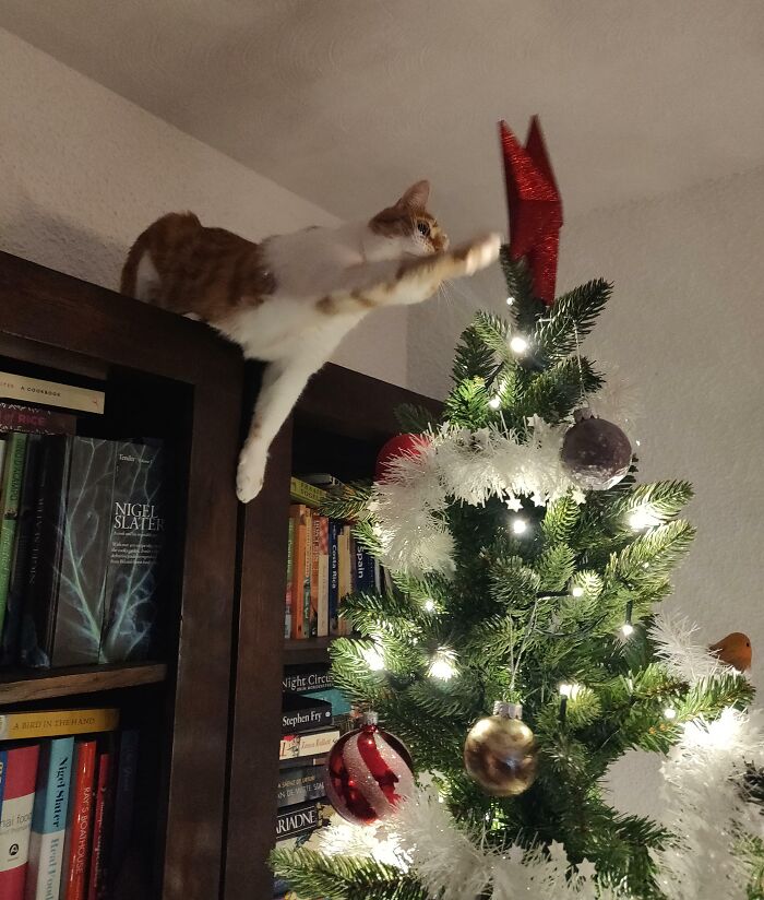 It's Beginning To Feel A Lot Like Christmas