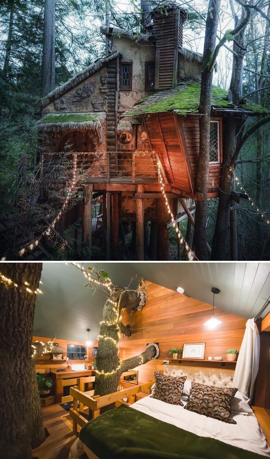 A Witchy Treehouse In Pacific Northwest