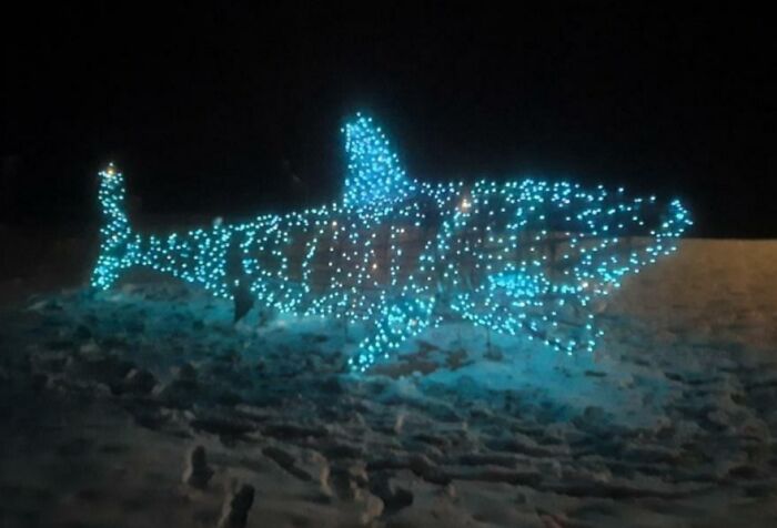 24ft Shark, My Only Christmas Decoration In My Yard This Year