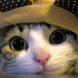 aprilporter_1 avatar