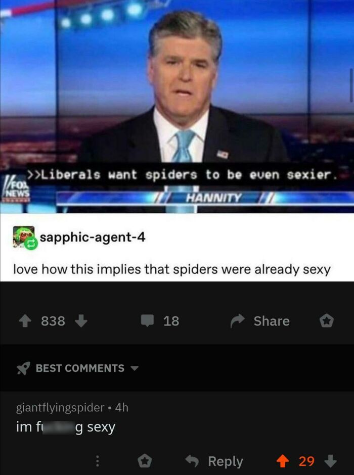 Spider With Some Self Confidence