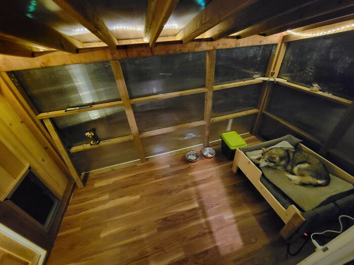 Mi perro de trineo jubilado Alaskan, de 12 años, se niega a entrar en casa, así que le he llevado el interior a él