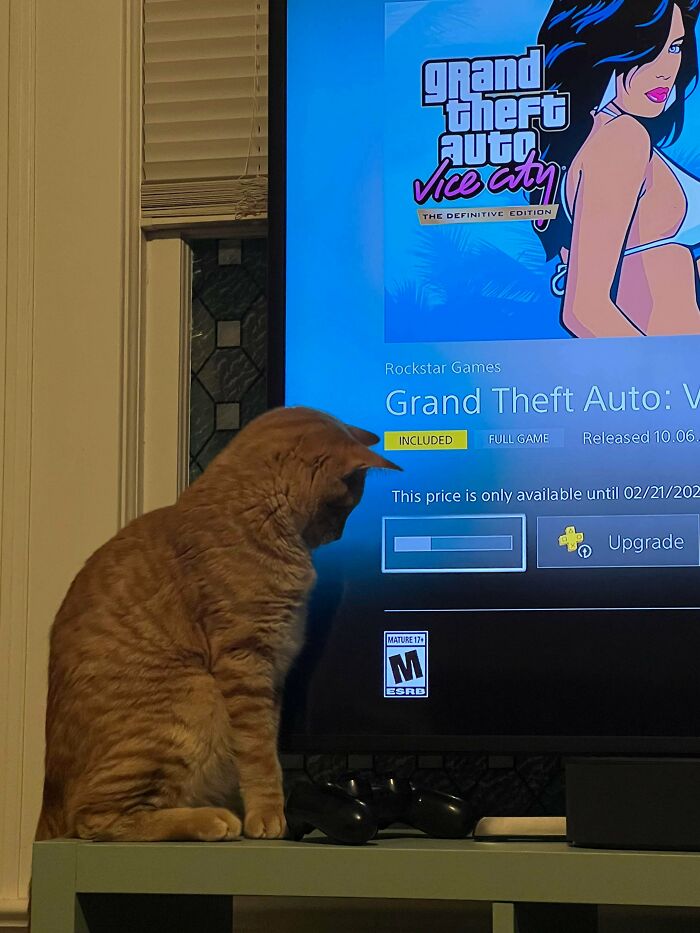 Kevin Has Been Sitting And Watching A Game Download For 45 Minutes