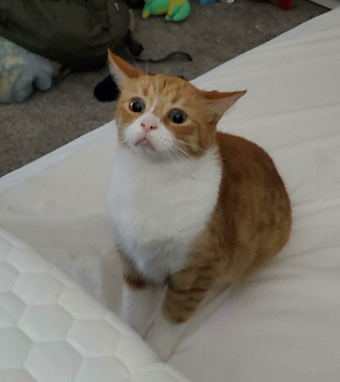 Sometimes She Thinks But Then She Forgets