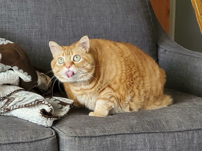 She Thought She Saw The Brain Cell. She Didn't