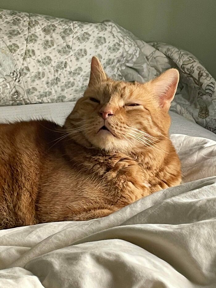 Actual Footage Of Calvin Trying To Use His Brain