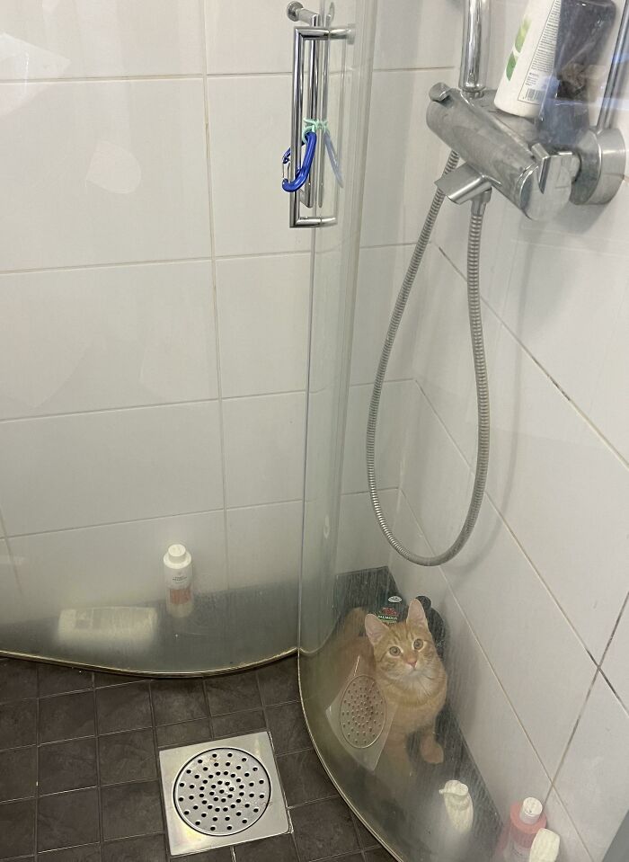 He Woke Me Up At Night Because He Had Locked Himself Behind The Showerdoors