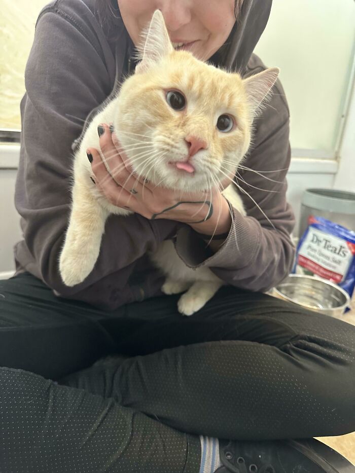 We Found Him Outside. He Is Not Smart 