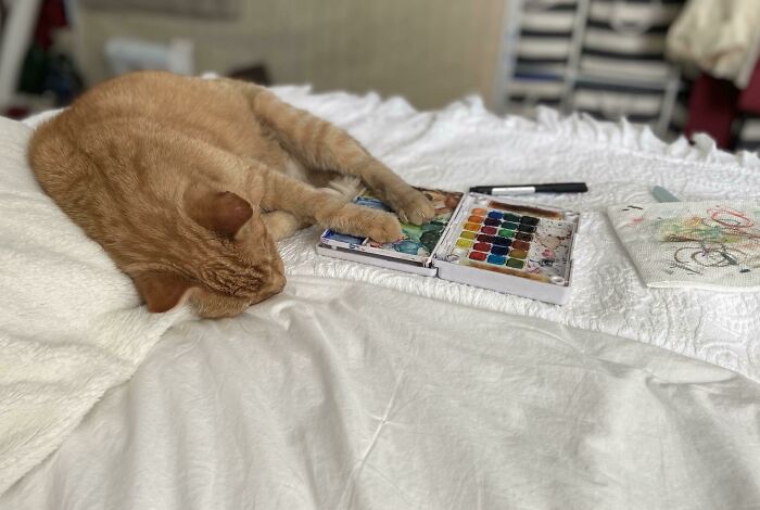 In My Wet Watercolor Trays. On My White Bedspread