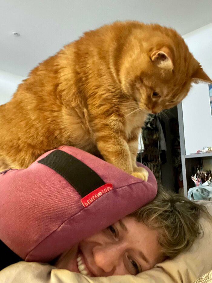 Just Tryna Take A Nap