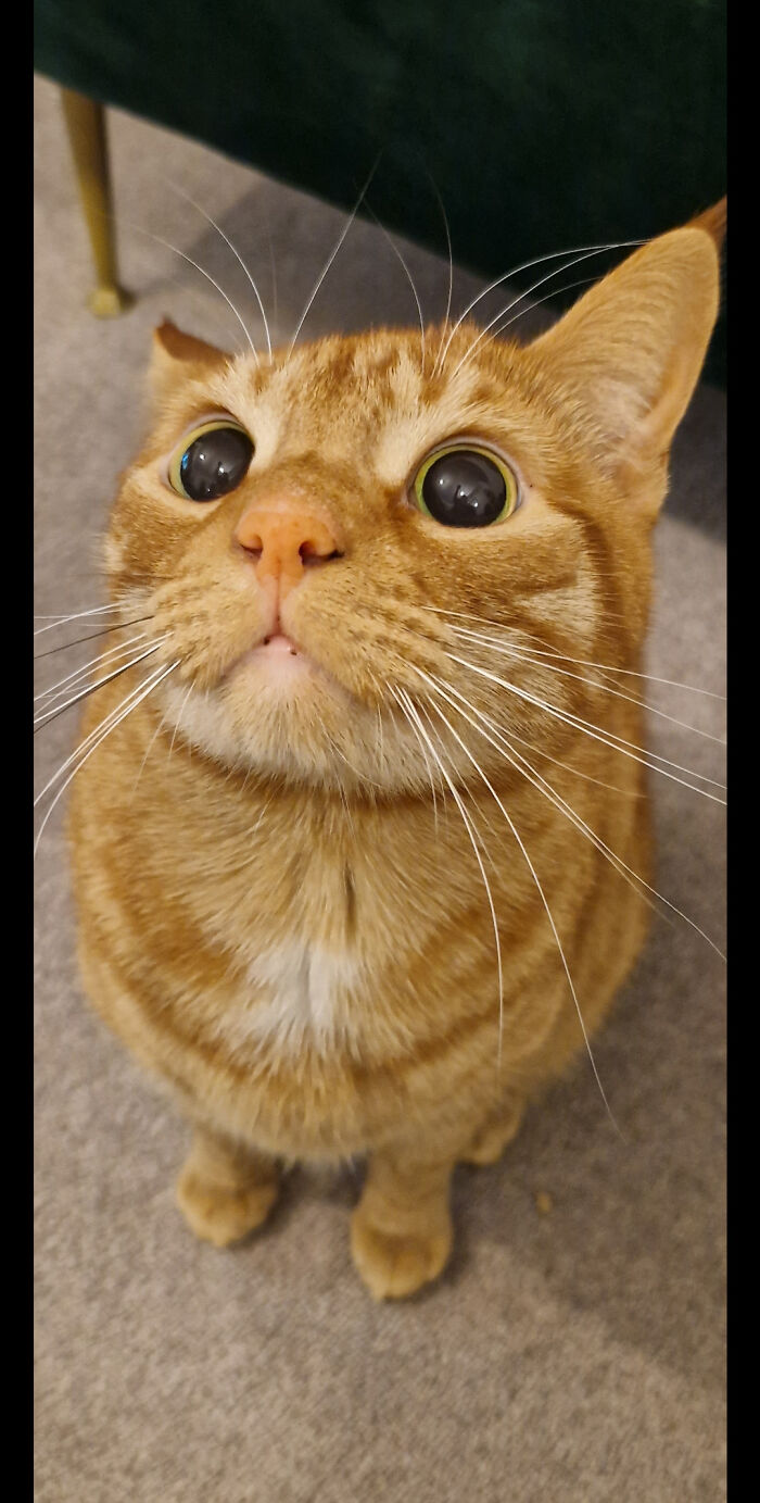 Ron Wondering Who This Stranger (Me) Is After I Dare To Be Out For More Than An Hour