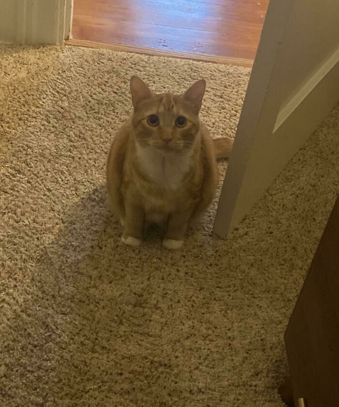 I Was Eating Pop Rocks And She Just Stared At Me Like This The Entire Time