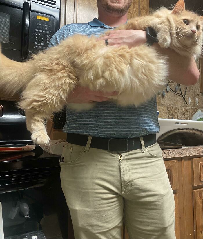 Who Else Has An Absolute Orange Unit?