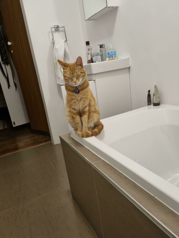 One Braincell Jasper Giving Me "Privacy" On The Porcelain Throne By Keeping His Eyes Closed