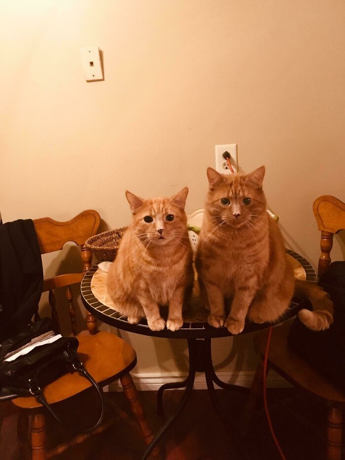 Two Really Good Guys