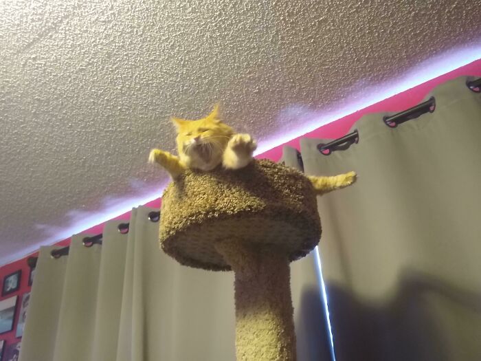 My Stupid Little Idiot ❤️