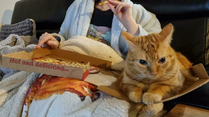 Our Pizza Came With A Large Orange Loaf On The Side