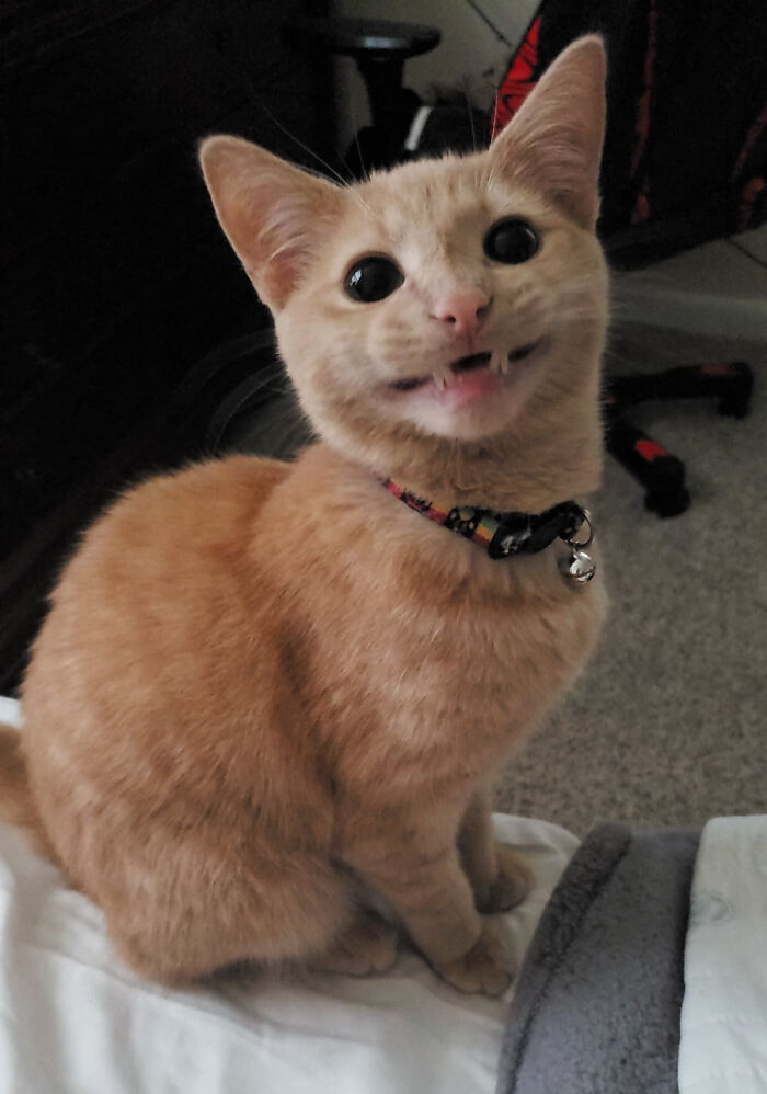 Zero When He Gets The Brain Cell