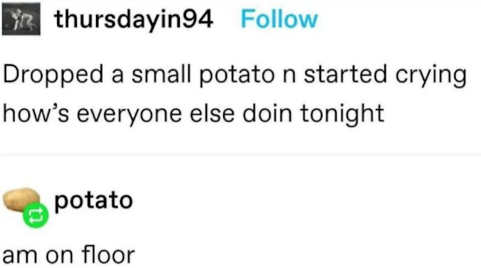 Someone Should Probably Get Them Off Of The Floor