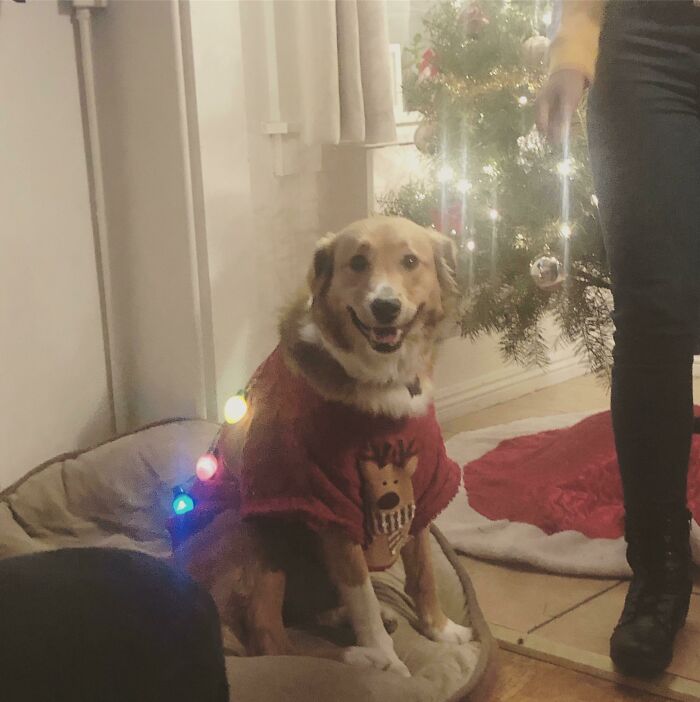 Have You Ever Fallen In Love At A Christmas Party?