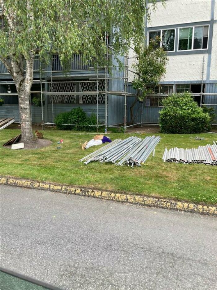 Not Sure If This Belongs Here But My Colleague Sent Me This Picture Of This Lady At Our Work Site