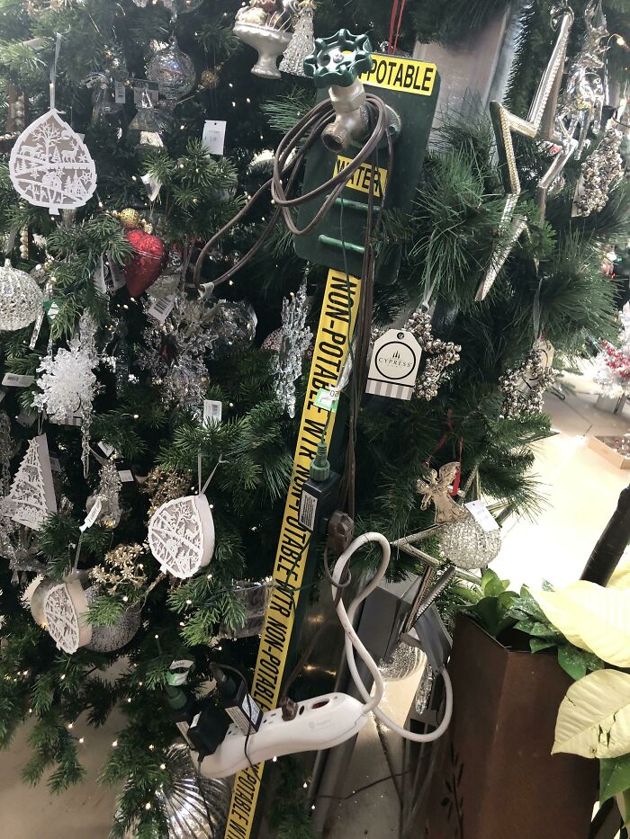 Plugged The Christmas Trees In, Boss