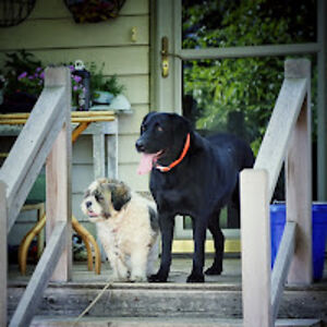 withoutfearofthefuturewithjenna avatar